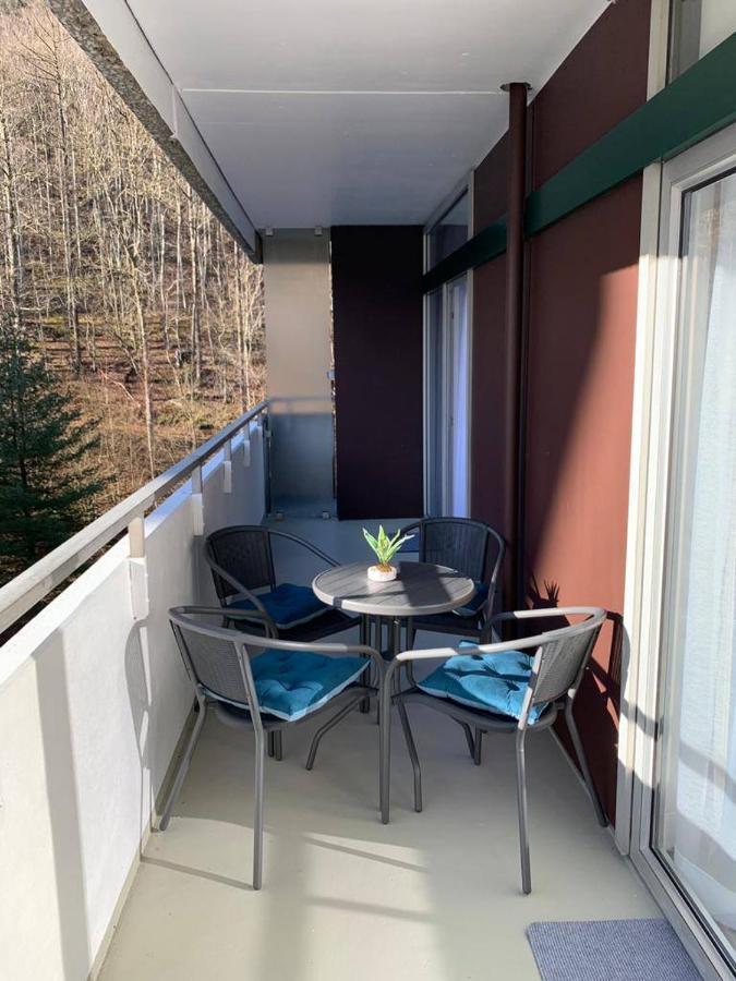 Mariposa 3 Incl Pool & Sauna Bad Harzburg Dış mekan fotoğraf