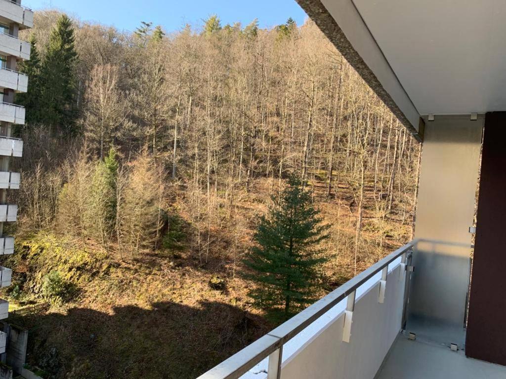 Mariposa 3 Incl Pool & Sauna Bad Harzburg Dış mekan fotoğraf